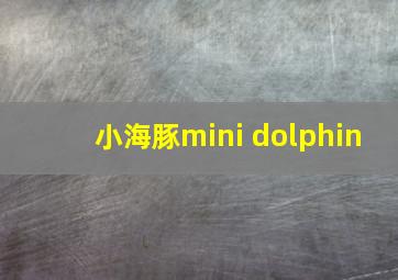 小海豚mini dolphin